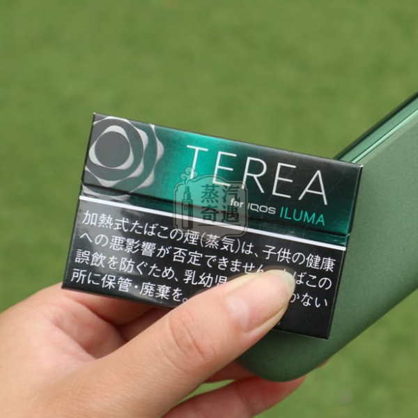 日本TEREA Black Menthol黑薄荷煙彈口味IQOS ILUMA系列主機專用-手拿展示